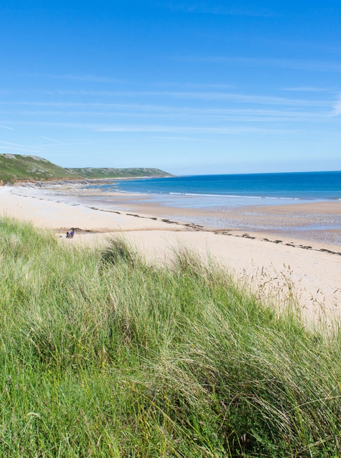 grass in the foreground with a sandy beach and sea and blue sky in the background.