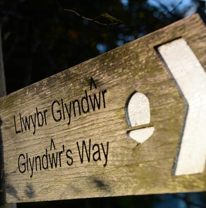 Schild aus Holz am Glyndŵrs Way