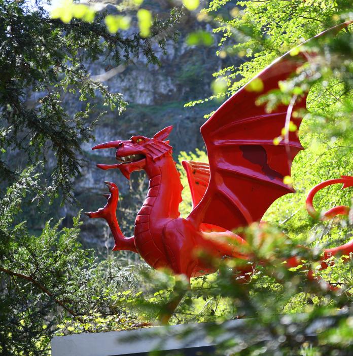 Dragon statue at The National Showcaves Centre for Wales.
