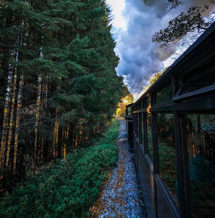 Ein Zug der Brecon Mountain Railway fährt durch einen Wald, aus dessen Schornstein strömt Dampf.