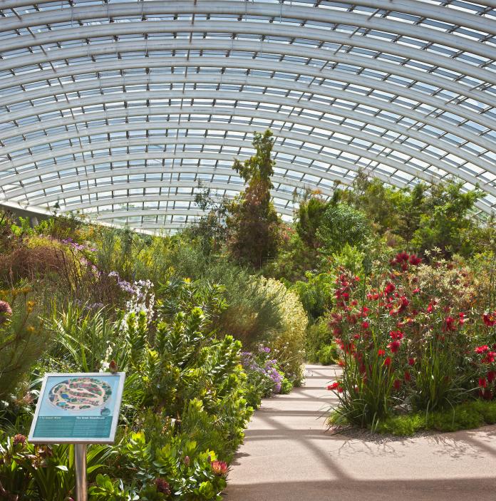 Interior view of large glasshouse with plants.