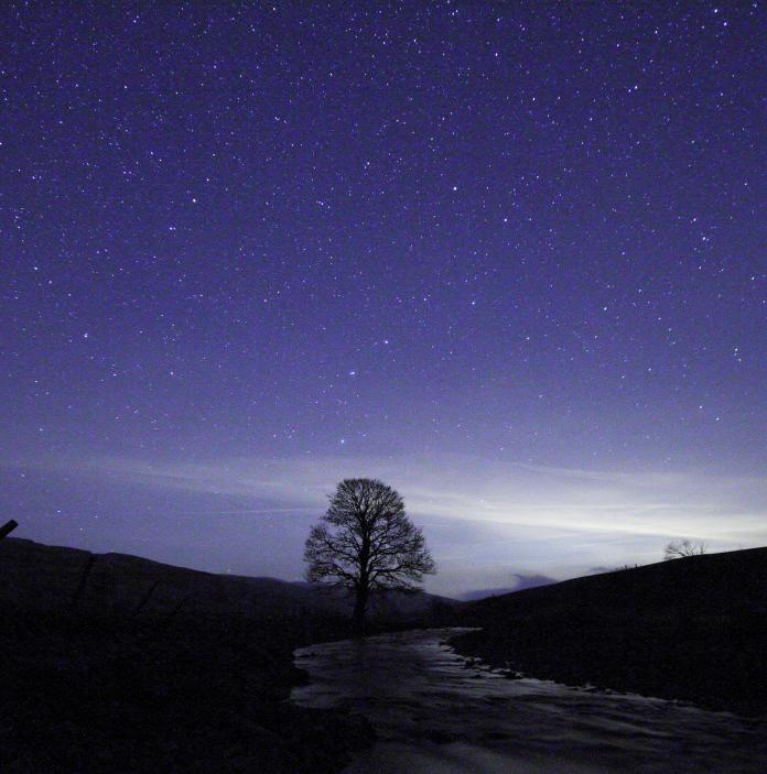 Dark, starry night with a tree silhouette by a stream.