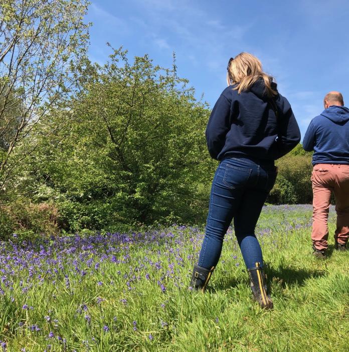 Female and male walkers in field with bluebells.