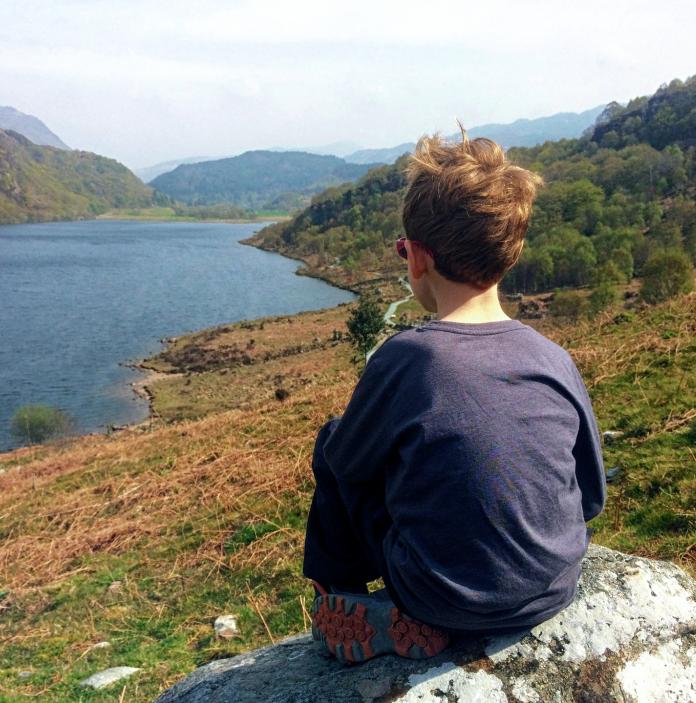 Boy looking out over a lake