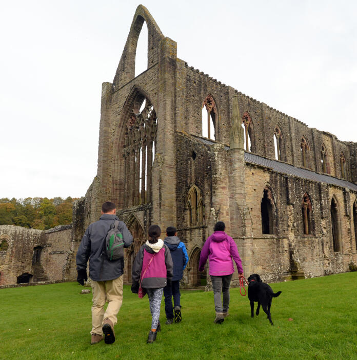 A group people and a dog by a ruined abbey.