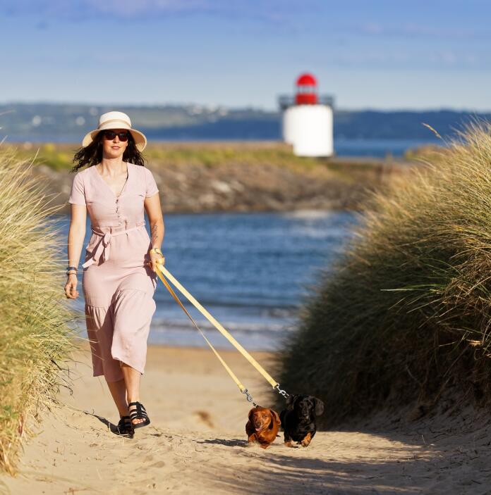 woman walking dogs on beach, with lighthouse in background.