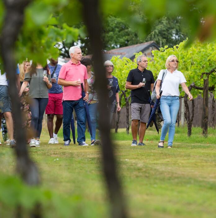A group of people touring a vineyard