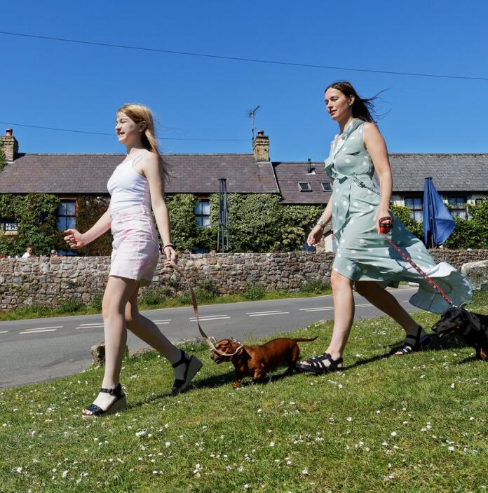 Dog walkers walking in Llangennith, West Wales