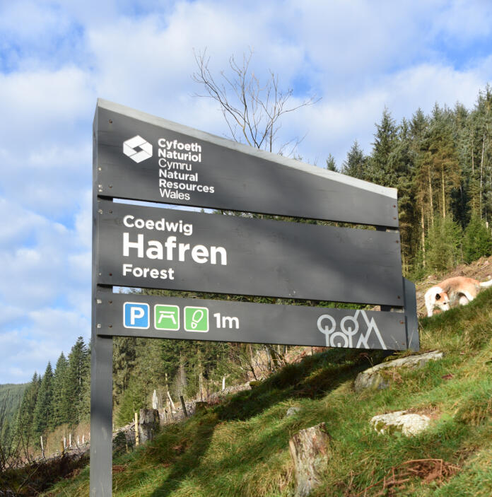 Hafren Forest sign board.