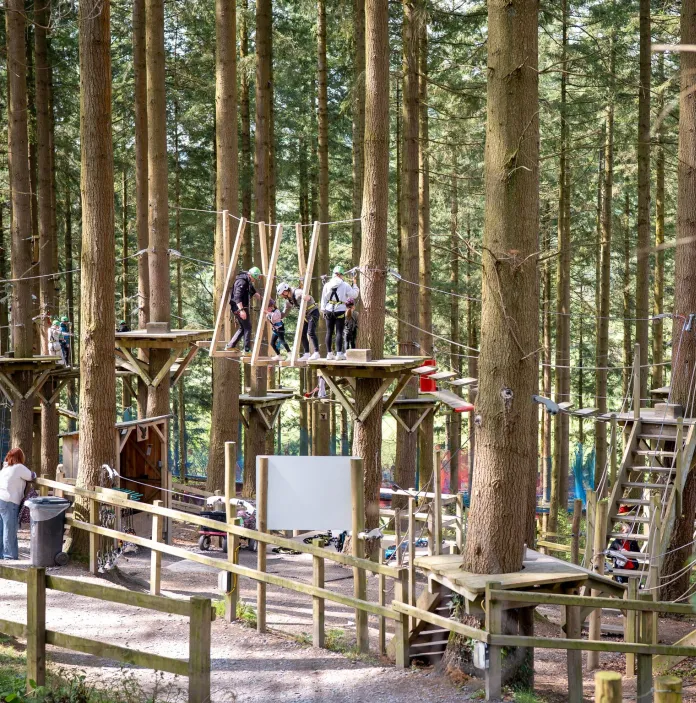 A family on a high rope safari course in a forest. 