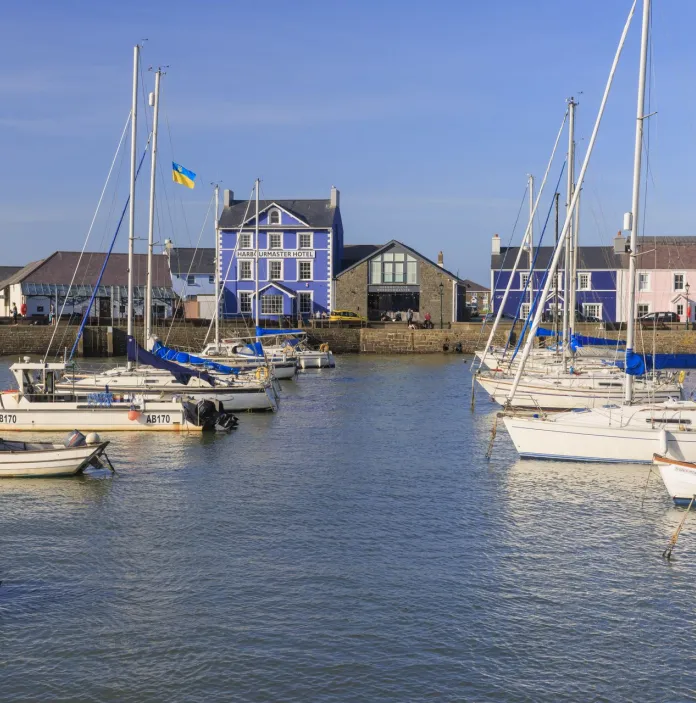 Harbour scene with small boats moored along calm water, lined by pastel-coloured houses under a clear blue sky.