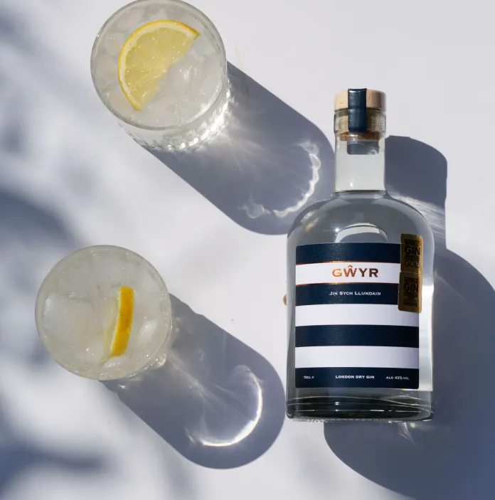Overhead view of a dark glass bottle with a striped label beside two clear glasses containing ice and lemon slices, arranged on a light surface with soft shadows.