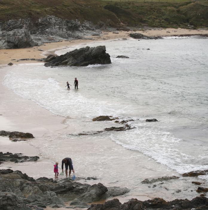 beach with adult and child walking in the sea and two people rockpooling.