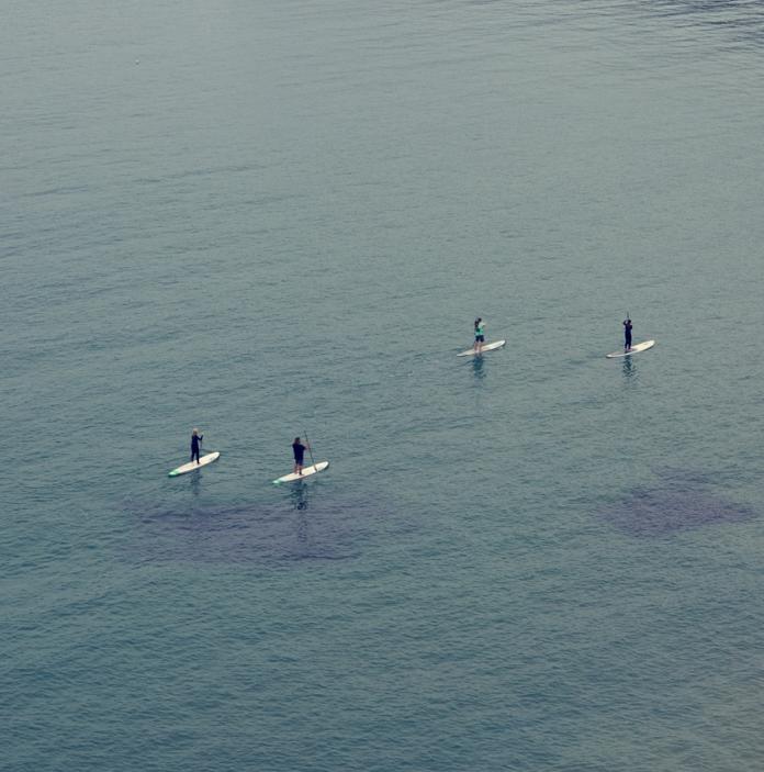 Four people paddle boarding in the sea.