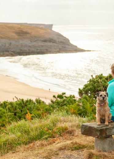 A lady sitting on a stone bench with her dog on a cliff overlooking a sandy beach.