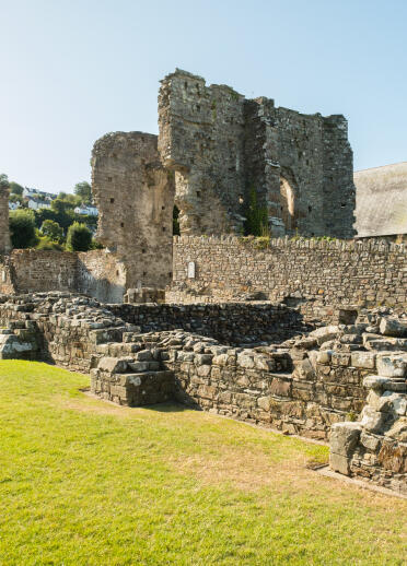 The ruins of St Dogmael's Abbey.
