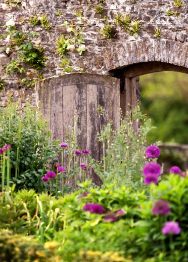 An open wooden door through a stone wall in a garden of purple flowers.