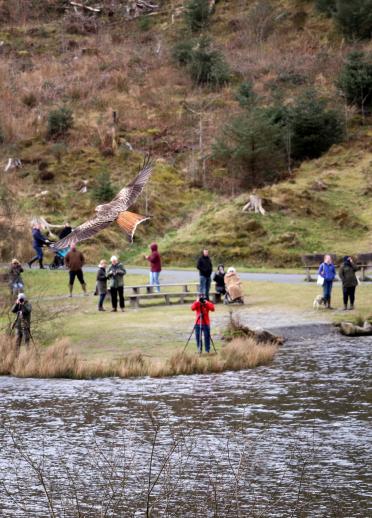 A red kite flying over a lake, being photographed by a group of people.