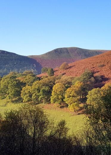 mountain landscape of three mountains against a blue sky and trees and a field in the foreground starting to show autumnal colour