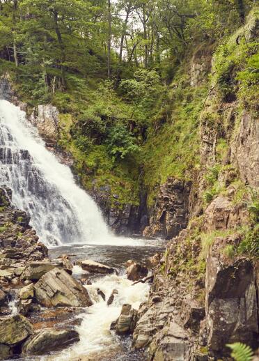 Wasserfall umgeben von Felsen und grünen Pflanzen.