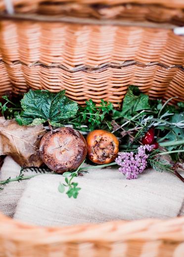 A selection of foraged plants in a wicker basket.