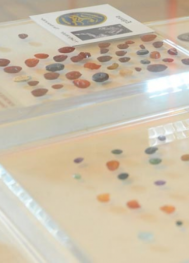 Cabinet displaying Roman gems