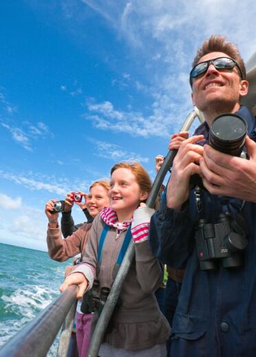 Dolphin watchers Ceredigion Heritage Coast