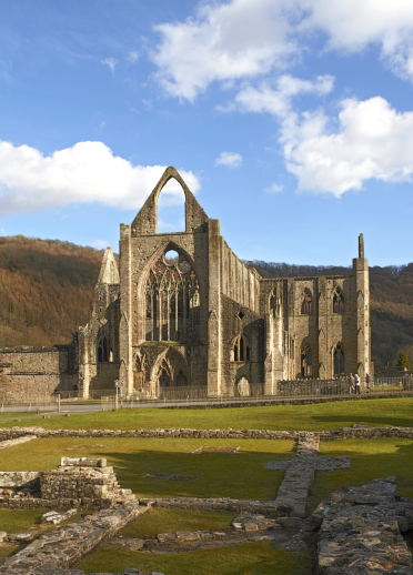 Tintern Abbey von Bäumen umsäumt.