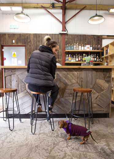 A woman and a dog in a bar.