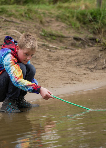 A young boy fishing with a net in a lake.
