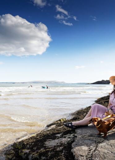 woman with dogs sat on rocks on beach.