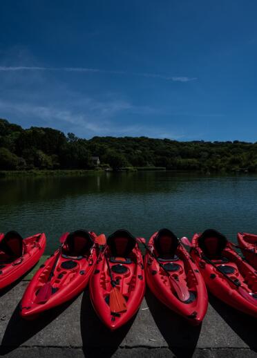 A row of red kayaks by a lakeside.