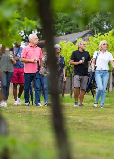 A group of people touring a vineyard.