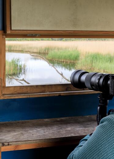 A person with a long lensed camera looking out from a hide.