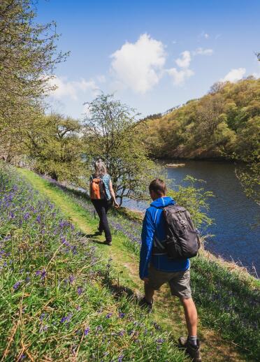 Two people walking along  pathway by a river. Bluebells are out.