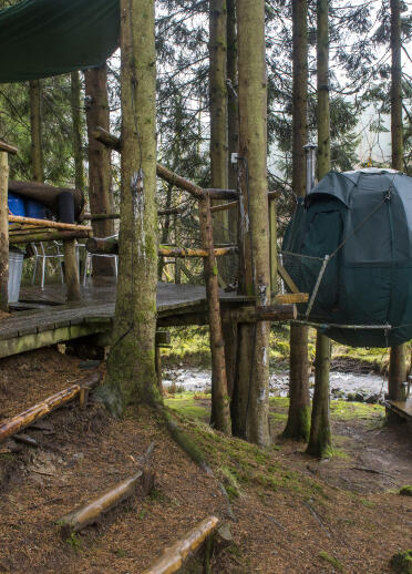 Green glamping pod suspended in the trees