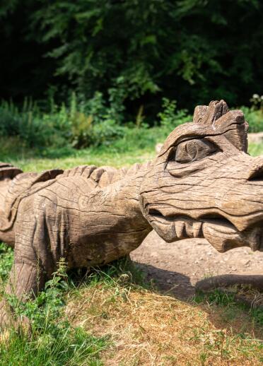 dragon wood carving.