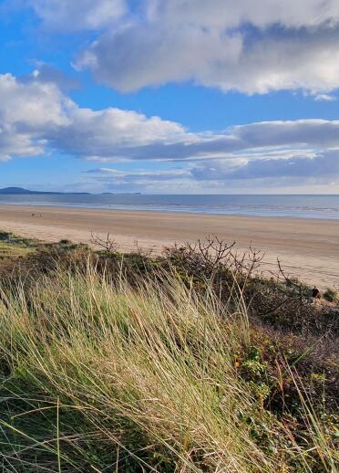 sandy beach on a sunny day viewed from marram grass.