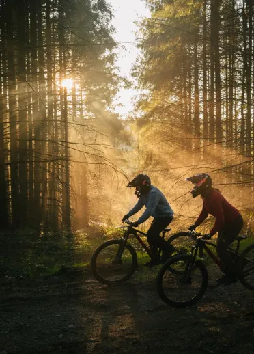 two people on mountain bikes in forest in bike park with sun shining through.