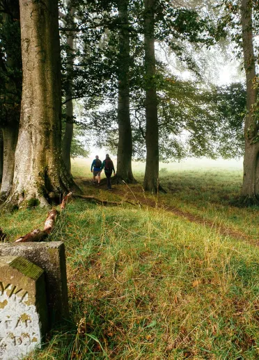 A lichen-covered etched stone marker on a woodland pathway saying 'Offa's Dyke'.