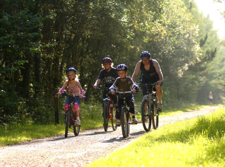 Family with two young children cycling along a forest trail.