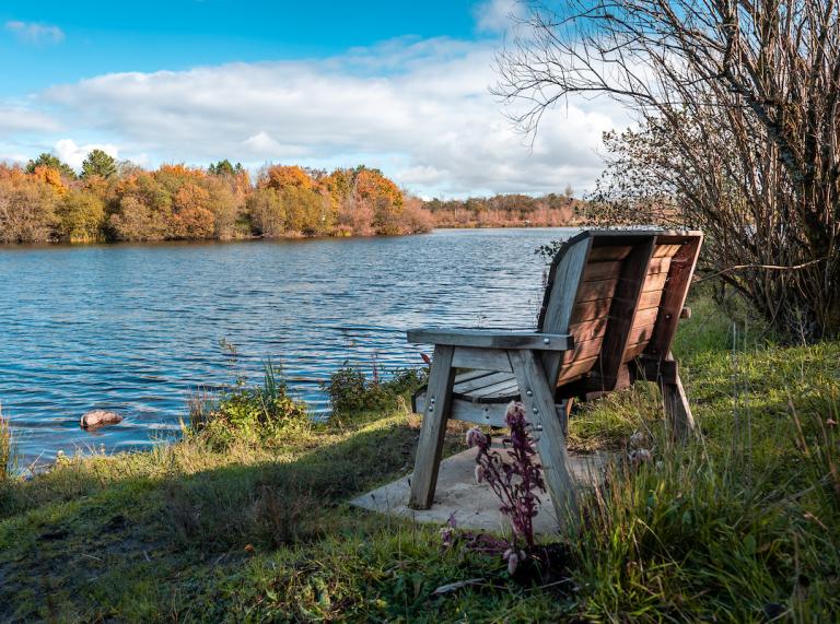 A wooden bench overlooking a lake with trees in the background.