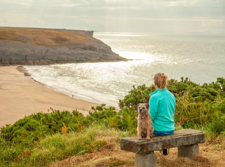Eine Person auf einer Klippe, die auf einer Bank sitzt und über den Strand auf das Meer schaut, mit einem Terrierhund neben sich.