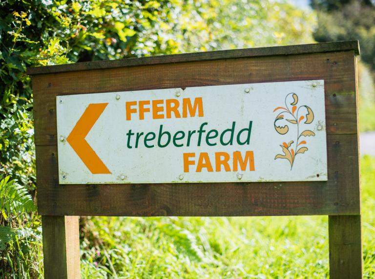 Treberfedd Farm, Lampeter.