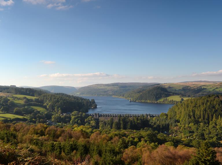 Looking down on Lake Vyrnwy and surrounding forests and hills.