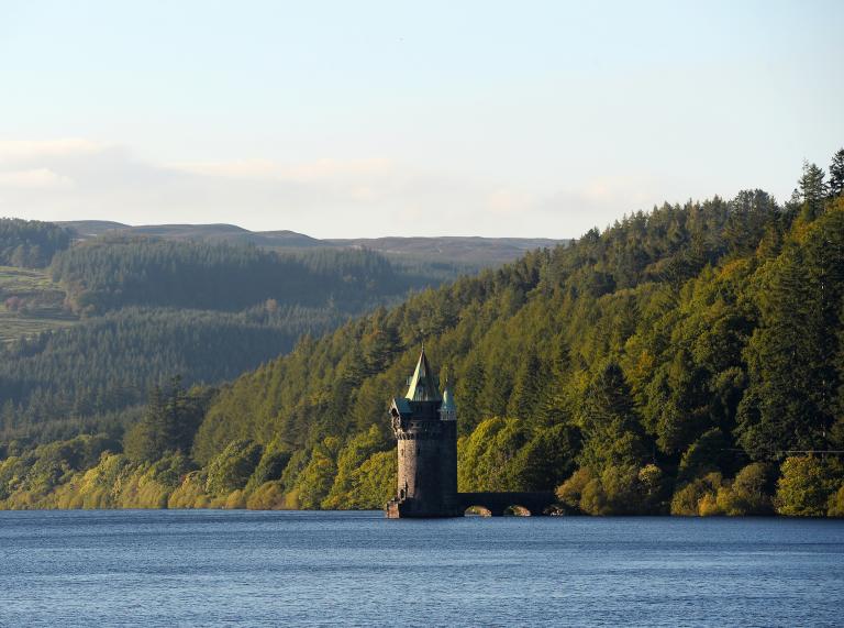 Image of the lake with the straining tower and trees in the background