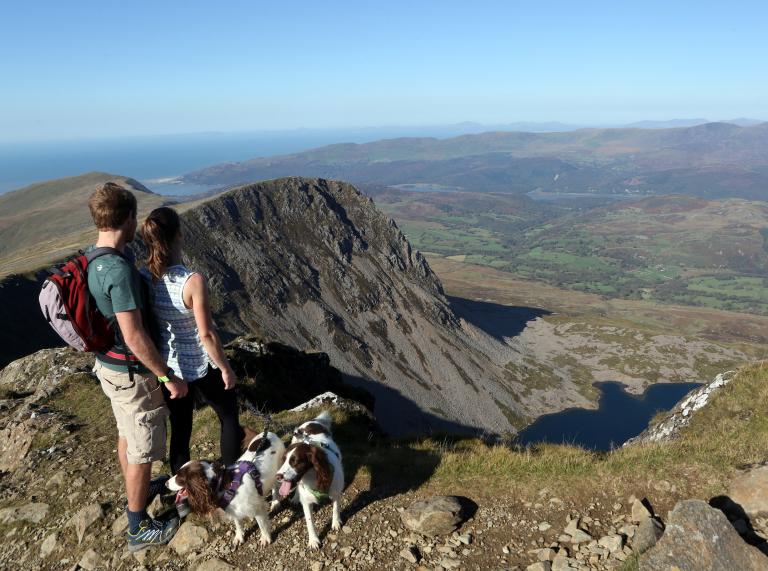 Couple with two dogs looking towards Llyn y Cadair.