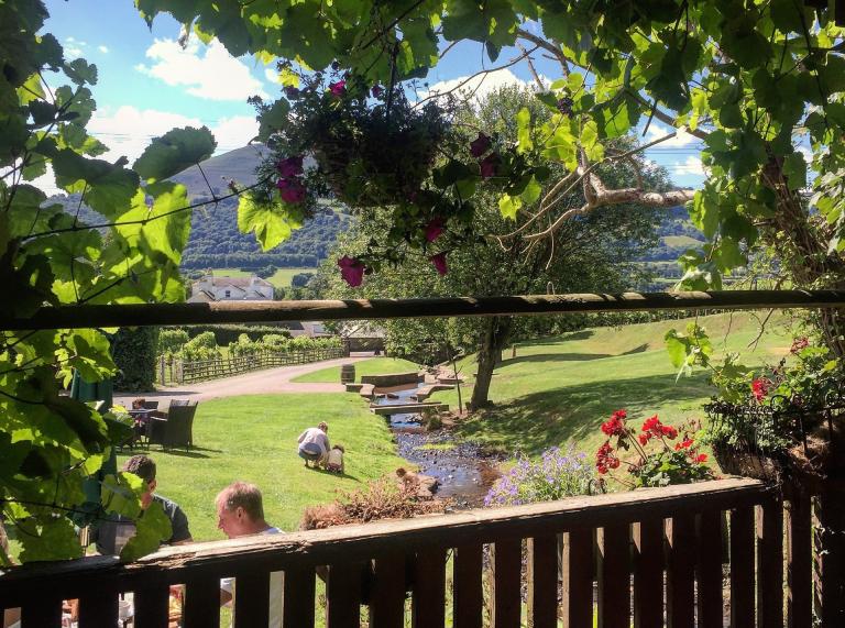 Views of the gardens on the balcony framed by foilage at Sugar Loaf Vineyard.