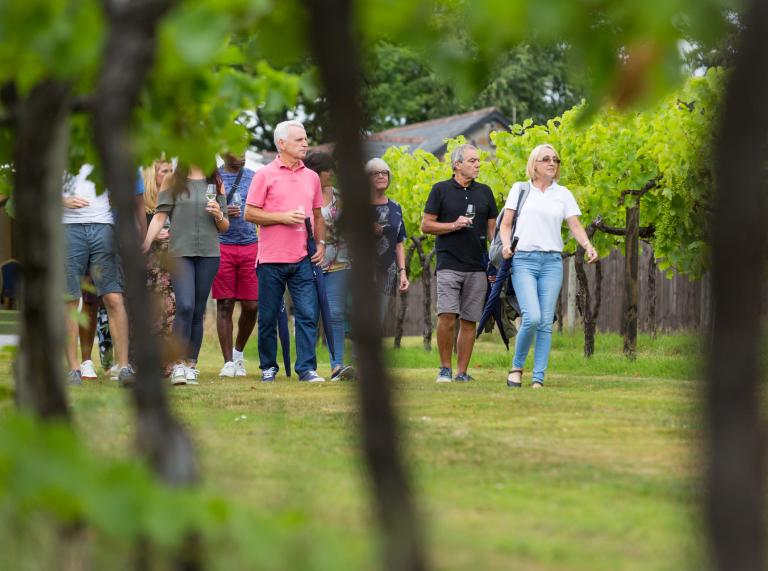Eine Gruppe von Besuchern besichtigt das Weingut Llanerch.