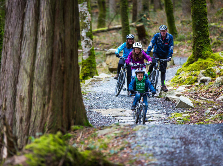 Family cycling on a forest trail at Coed y Brenin.